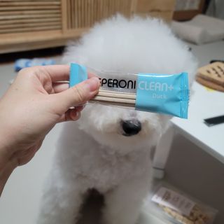❤꼬네우니🧡님이 올린 리뷰 사진 2