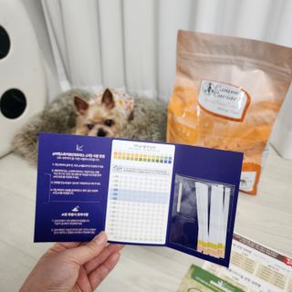 캐닌캐비어 알카라인 홀리스틱 그레이프리 앙뜨레 ALS_4종 오픈스카이, 와일드오션, 프리스피릿, 스페셜니즈 — 5점을 준 리뷰어가 2023년 4월 올린 사용 사진