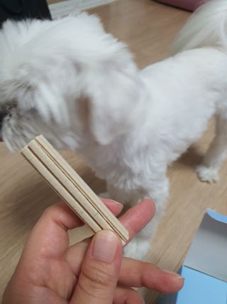 페페로니 클린플러스 덴탈오리껌 10g x 14p — 4점을 준 리뷰어가 2021년 7월 올린 사용 사진