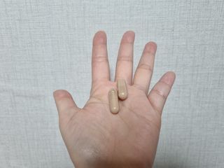 로얄 캐네디언 카보블록 슬림 — 5점을 준 리뷰어가 2023년 4월 올린 사용 사진