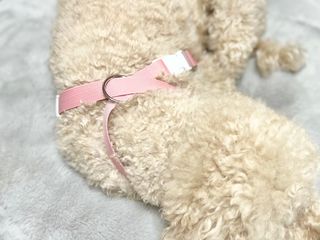 테티스님이 올린 리뷰 사진 4