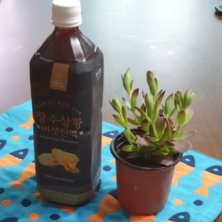 이선주님이 올린 리뷰 사진 1