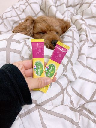 냠얌이님이 올린 리뷰 사진 1
