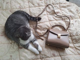효성님이 올린 리뷰 사진 1