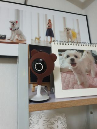 뽀오오옹님이 올린 리뷰 사진 1