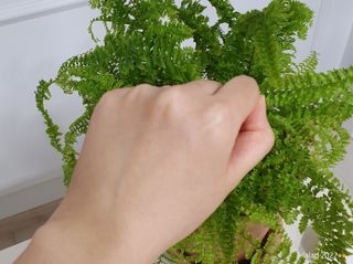 엠디스픽 무향 바리스타 핸드크림 울트라 고보습 대용량 펌핑 245g — 5점을 준 리뷰어가 2023년 1월 올린 사용 사진