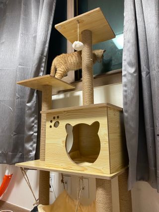 l3665님이 올린 리뷰 사진 4