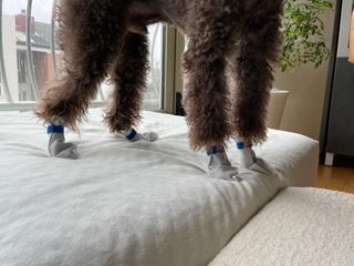 콩지님이 올린 리뷰 사진 2