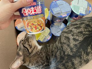 냐옹아냐옹해봐님이 올린 리뷰 사진 1