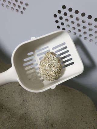 행운의집 실키식스 9kg 크린 언씬티드 프리미엄 고양이모래 — 5점을 준 리뷰어가 2021년 3월 올린 사용 사진