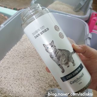 sdisksi님이 올린 리뷰 사진 1