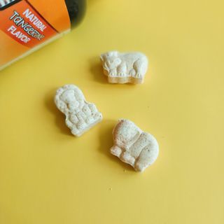 네이처스플러스 애니멀퍼레이드 면역 아연 (60정) — 5점을 준 리뷰어가 2022년 8월 올린 사용 사진