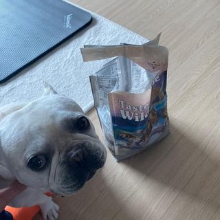 이샤르르님이 올린 리뷰 사진 1