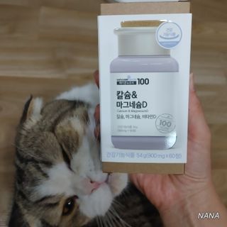 NANA님이 올린 리뷰 사진 1
