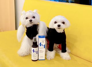 모소리네님이 올린 리뷰 사진 1