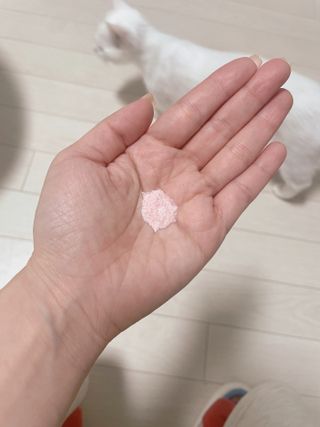 세라리님이 올린 리뷰 사진 2