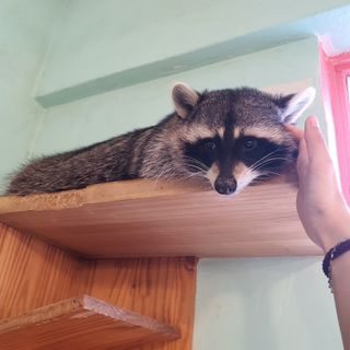 쩡아님이 올린 리뷰 사진 3