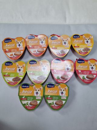 비타크래프트 조에시 하트캔 85g 강아지 습식캔 10캔 — 5점을 준 리뷰어가 2021년 9월 올린 사용 사진
