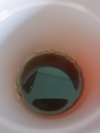 뉴트리션팩토리 하드코어버닝티 오리지널 — 5점을 준 리뷰어가 2021년 9월 올린 사용 사진