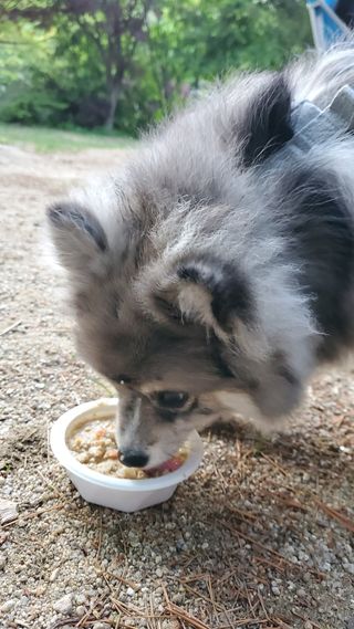 찌니님이 올린 리뷰 사진 4