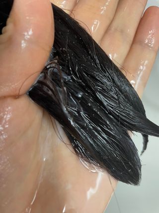 후뚜루마뚜루님이 올린 리뷰 사진 4