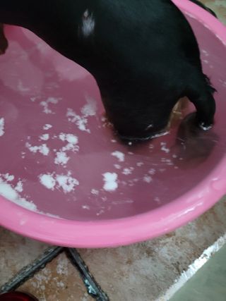 별앤별님이 올린 리뷰 사진 4