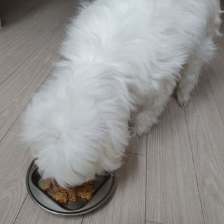 lala님이 올린 리뷰 사진 2