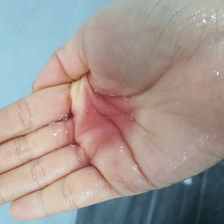 미미님이 올린 리뷰 사진 4