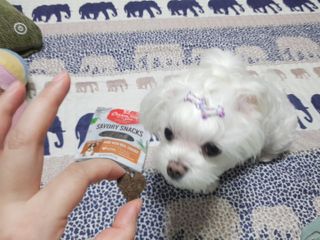 두부님이 올린 리뷰 사진 1