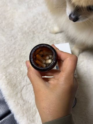 뽀야니님이 올린 리뷰 사진 3
