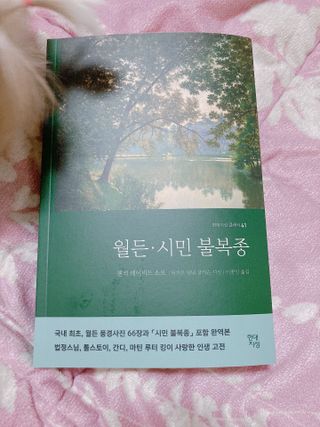 엘리오복숭아님이 올린 리뷰 사진 1