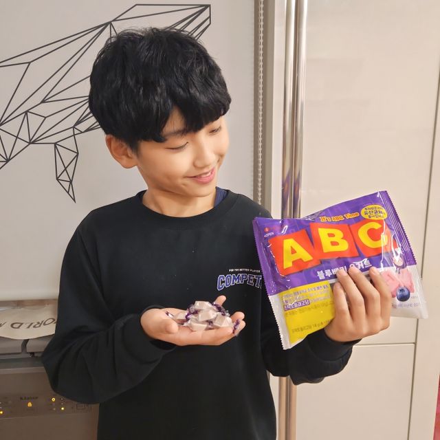 ABC 블루베리 요거트 리뷰 사진