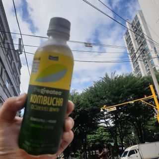 더그레잇티 콤부차 300ml *12개입 (오리지널 6개+베리리치 6개) — 5점을 준 리뷰어가 2022년 7월 올린 사용 사진