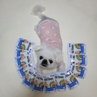 mini unni님이 올린 리뷰 사진 1
