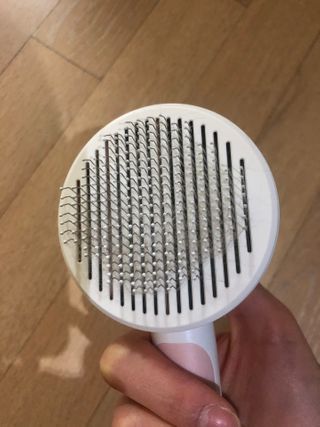 룰류랄라님이 올린 리뷰 사진 2