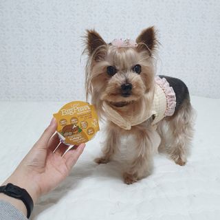 솜희님이 올린 리뷰 사진 3