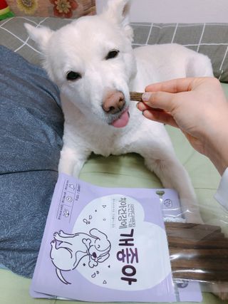 My Pet Care 천연단백질 치아건강에 개좋아 — 5점을 준 리뷰어가 2021년 2월 올린 사용 사진