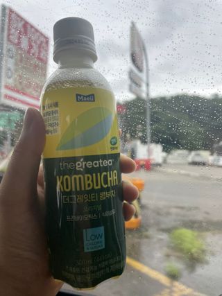 더그레잇티 콤부차 [매일유업] 더그레잇티 44kcal 콤부차 300ml *12개입 (오리지널 6개+베리리치 6개) — 5점을 준 리뷰어가 2023년 7월 올린 사용 사진