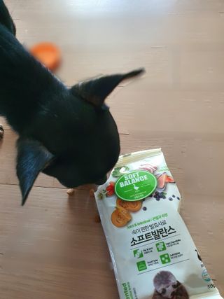 푸둘님이 올린 리뷰 사진 4