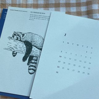 콜린스 2021 엽서 캘린더와 마스킹 테이프 3종 — 5점을 준 리뷰어가 2020년 12월 올린 사용 사진