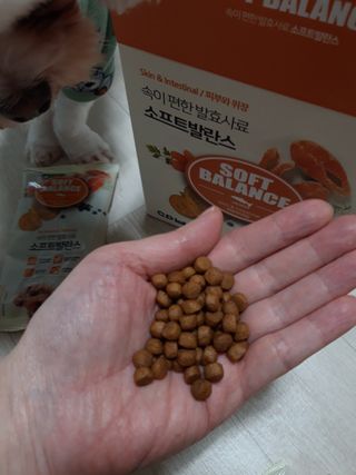 셀린님이 올린 리뷰 사진 3