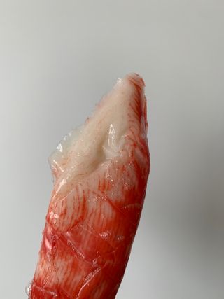 오느른님이 올린 리뷰 사진 2
