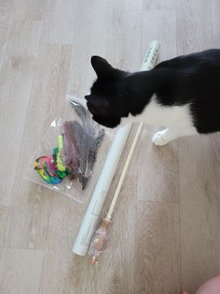 홍시님이 올린 리뷰 사진 1