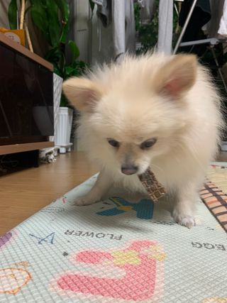 별이빛나길님이 올린 리뷰 사진 3