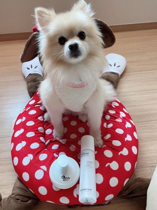 철부지개엄마님이 올린 리뷰 사진 3