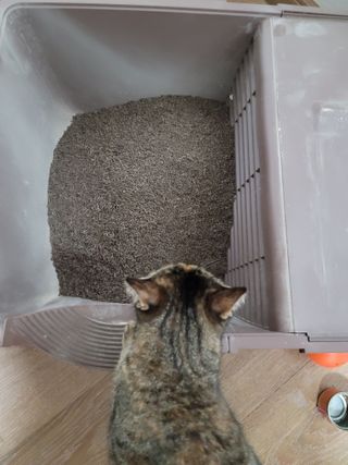 리지용님이 올린 리뷰 사진 2