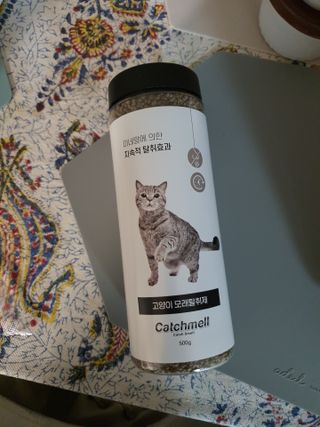 배엘세바님이 올린 리뷰 사진 2