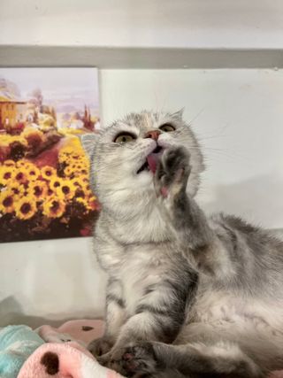 케이크러버님이 올린 리뷰 사진 3