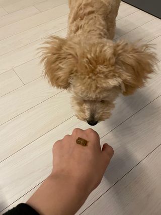 효효님이 올린 리뷰 사진 3