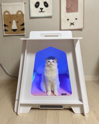 ccoyo님이 올린 리뷰 사진 1
